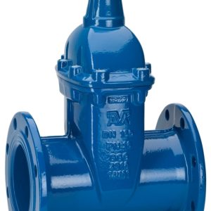 VAN CỔNG MẶT BÍCH, PN25