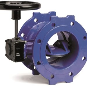VAN BƯỚM LỆCH TÂM KÉP, PN16
