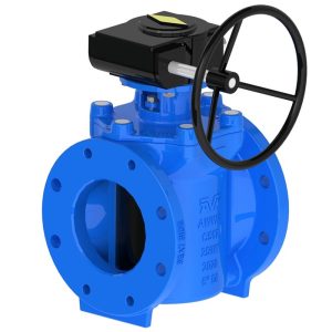 VAN CHỐT (PLUG) LỆCH TÂM, TIÊU CHUẨN EN PN16